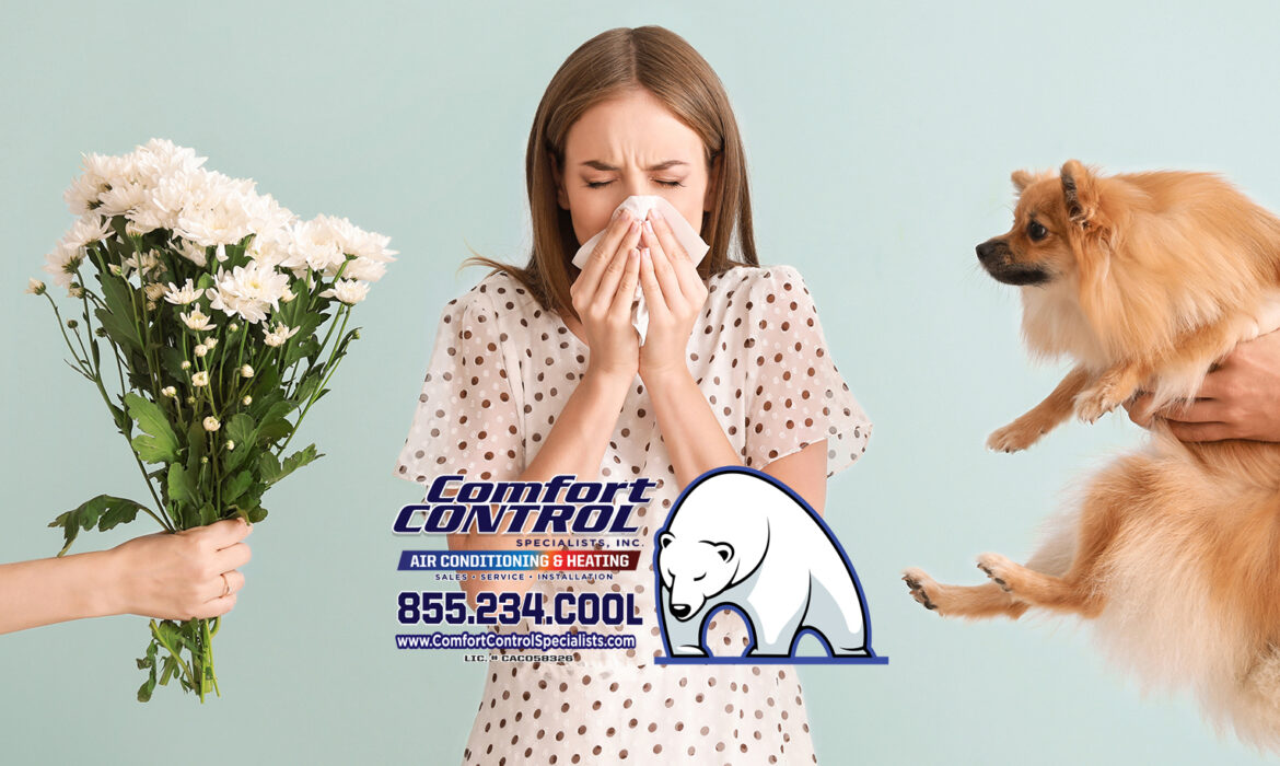 Maintaining Indoor Air Quality During Allergy Season in Keystone, FL