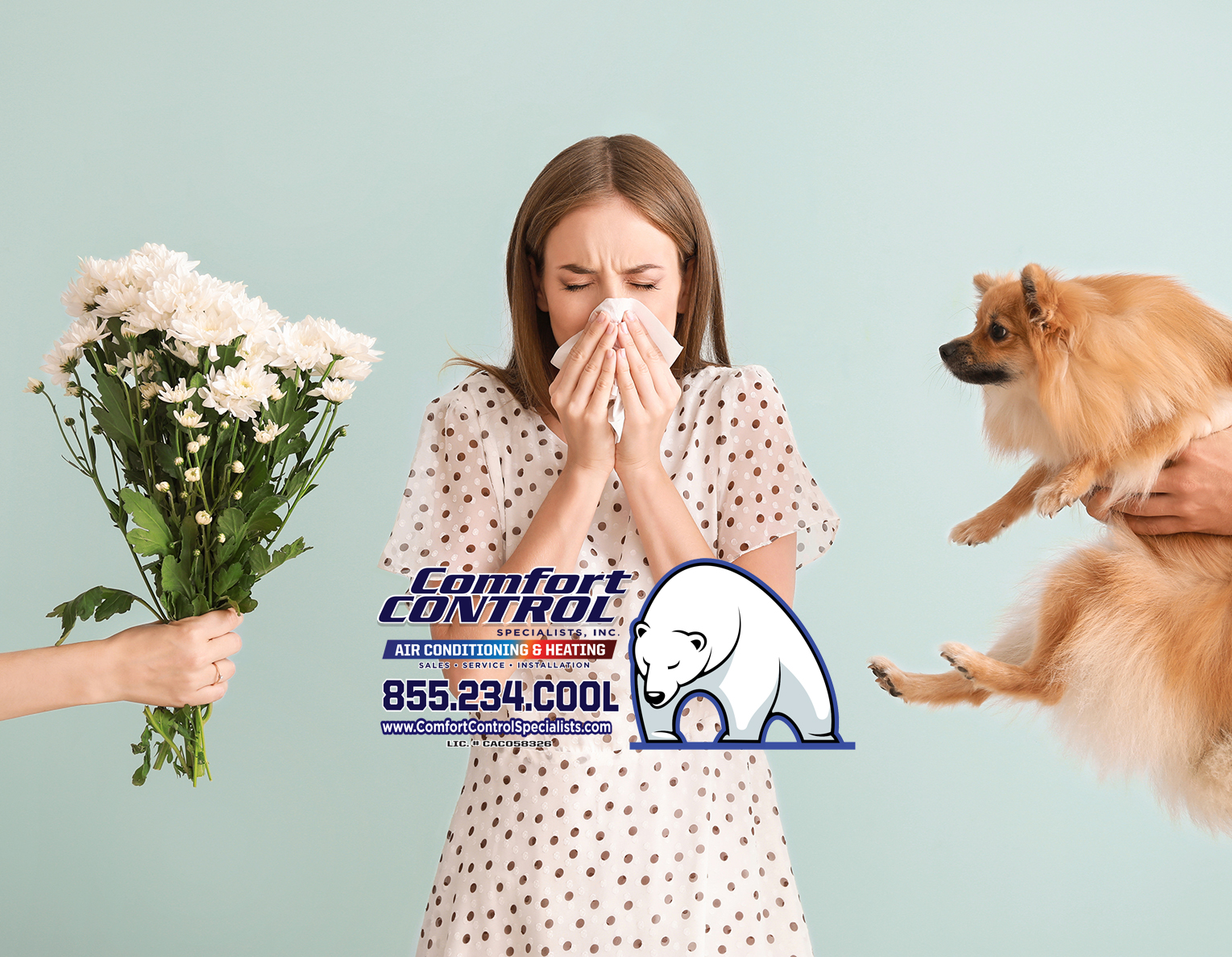 Maintaining Indoor Air Quality During Allergy Season in Keystone, FL