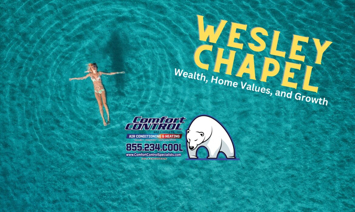 Wealthy Wesley Chapel