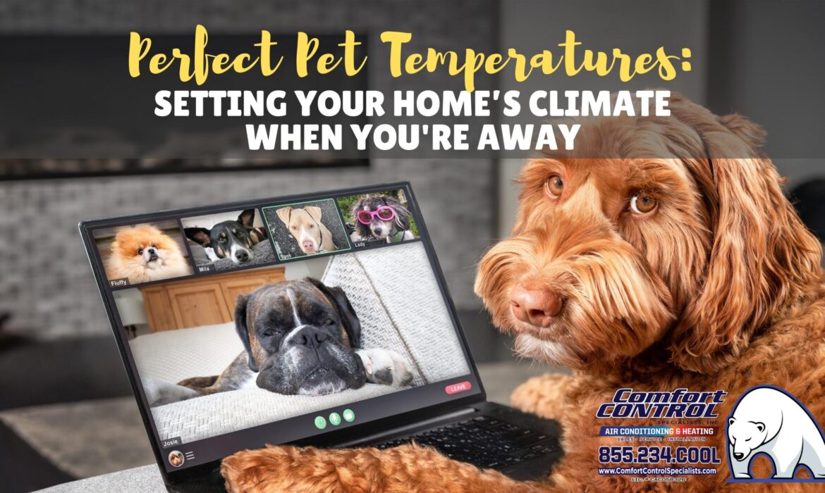 Pet Temperatures When You're Away
