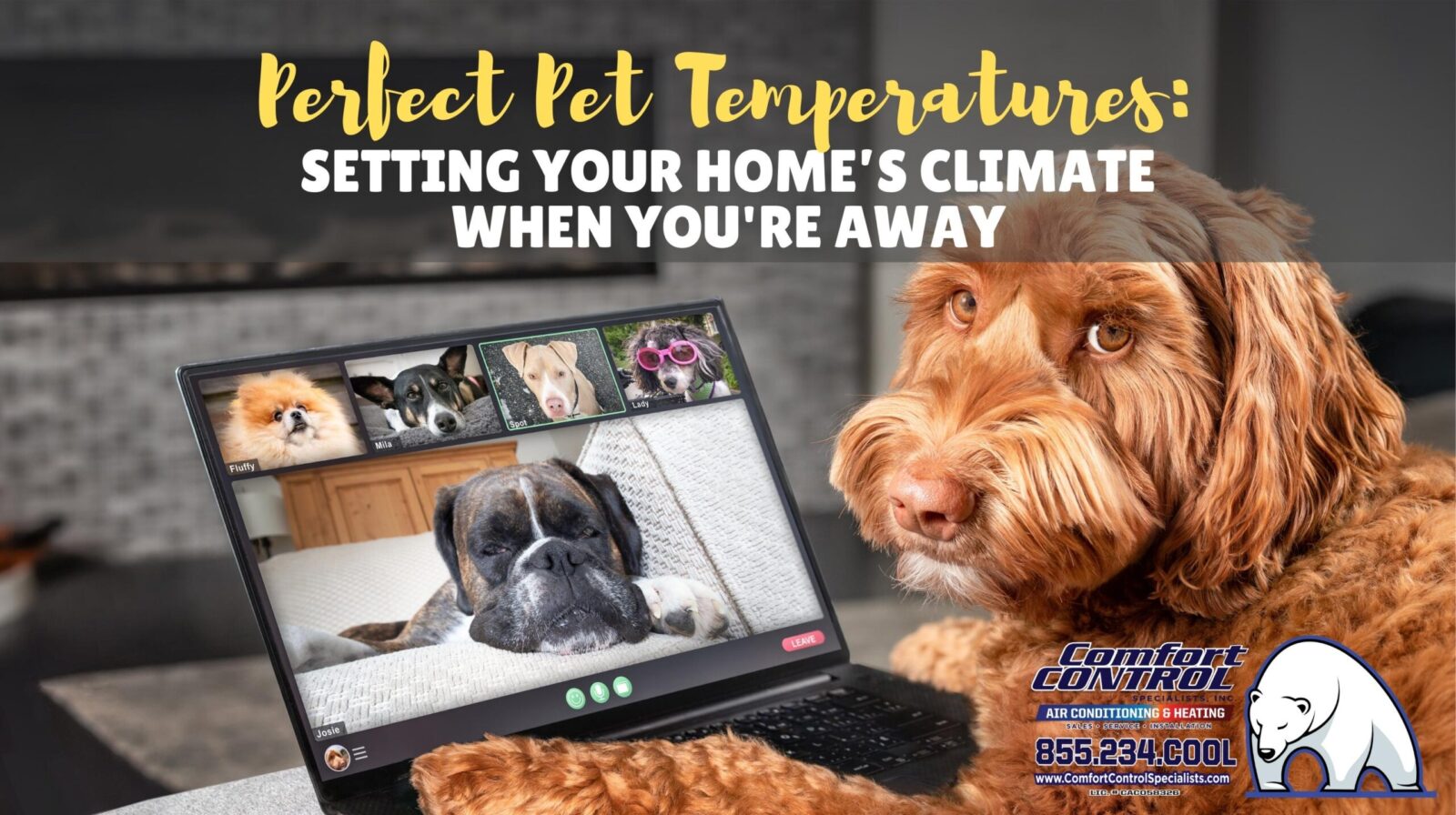 Pet Temperatures When You're Away