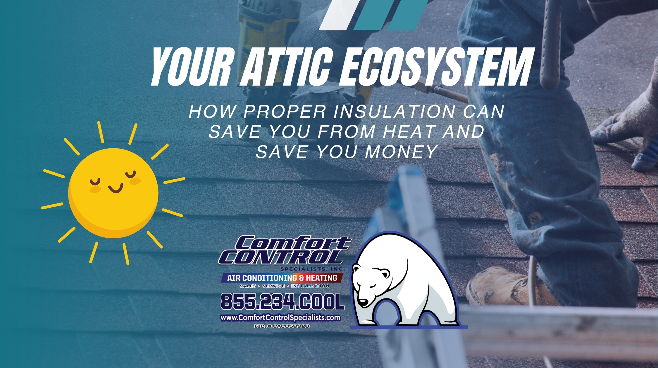 ac repair spring hill fl, your attic ecosytem