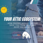 The Ecosystem of a Florida Attic: How Proper Insulation Is Key to Energy Efficiency and Air Circulation